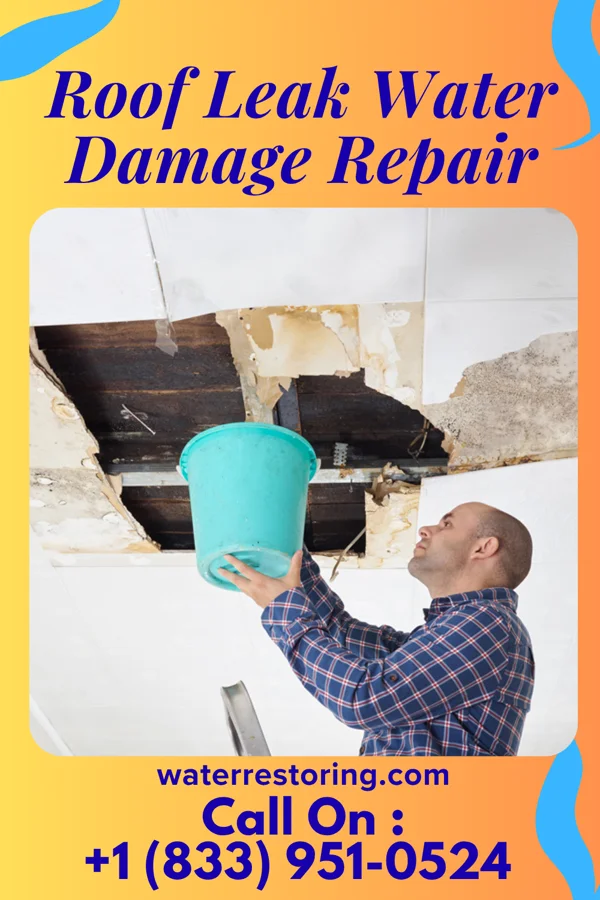Roof Leak Water Damage Repair in Lesterville, SD
